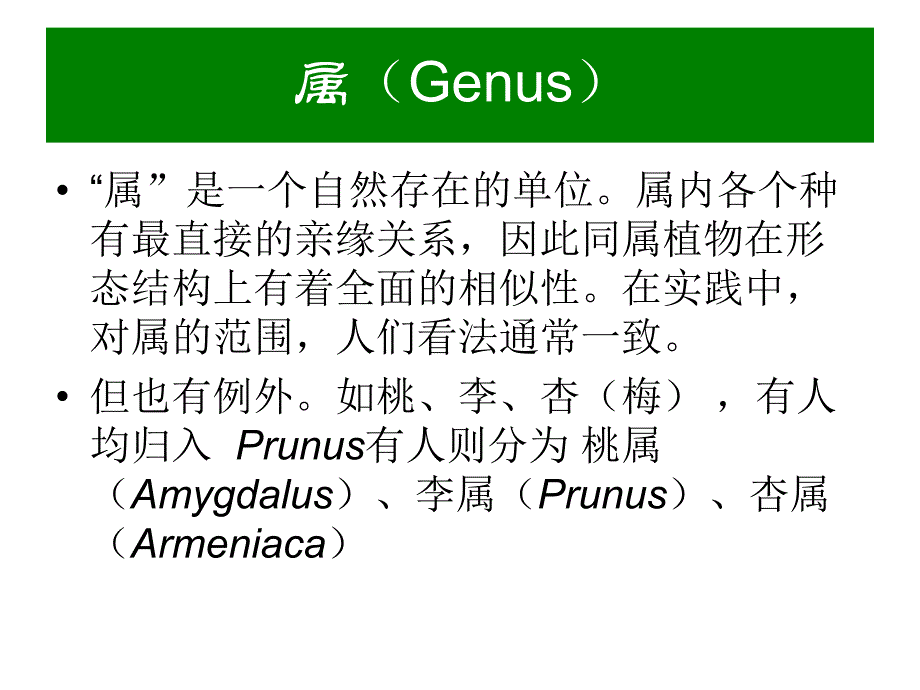 景观植物分类理论.ppt_第3页