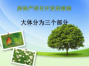房地产开发流程.ppt