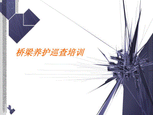 桥梁养护巡查管理培训.ppt