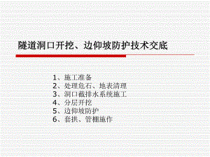 隧道洞口开挖、边仰坡防护技术.ppt