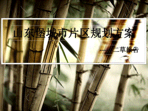 山东堡城市片区设计方案汇报.ppt