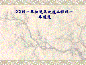 隧道伸缩缝分类对比.ppt.ppt