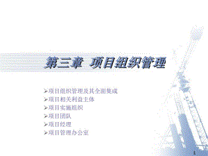 项目型组织结构.ppt