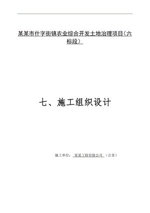 六标十字街农业综合开发土地治理项目施工组织设计.doc