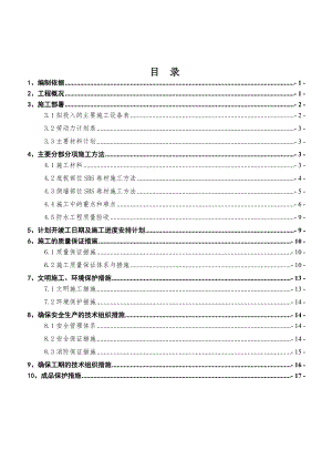 某项目防水施工方案.doc