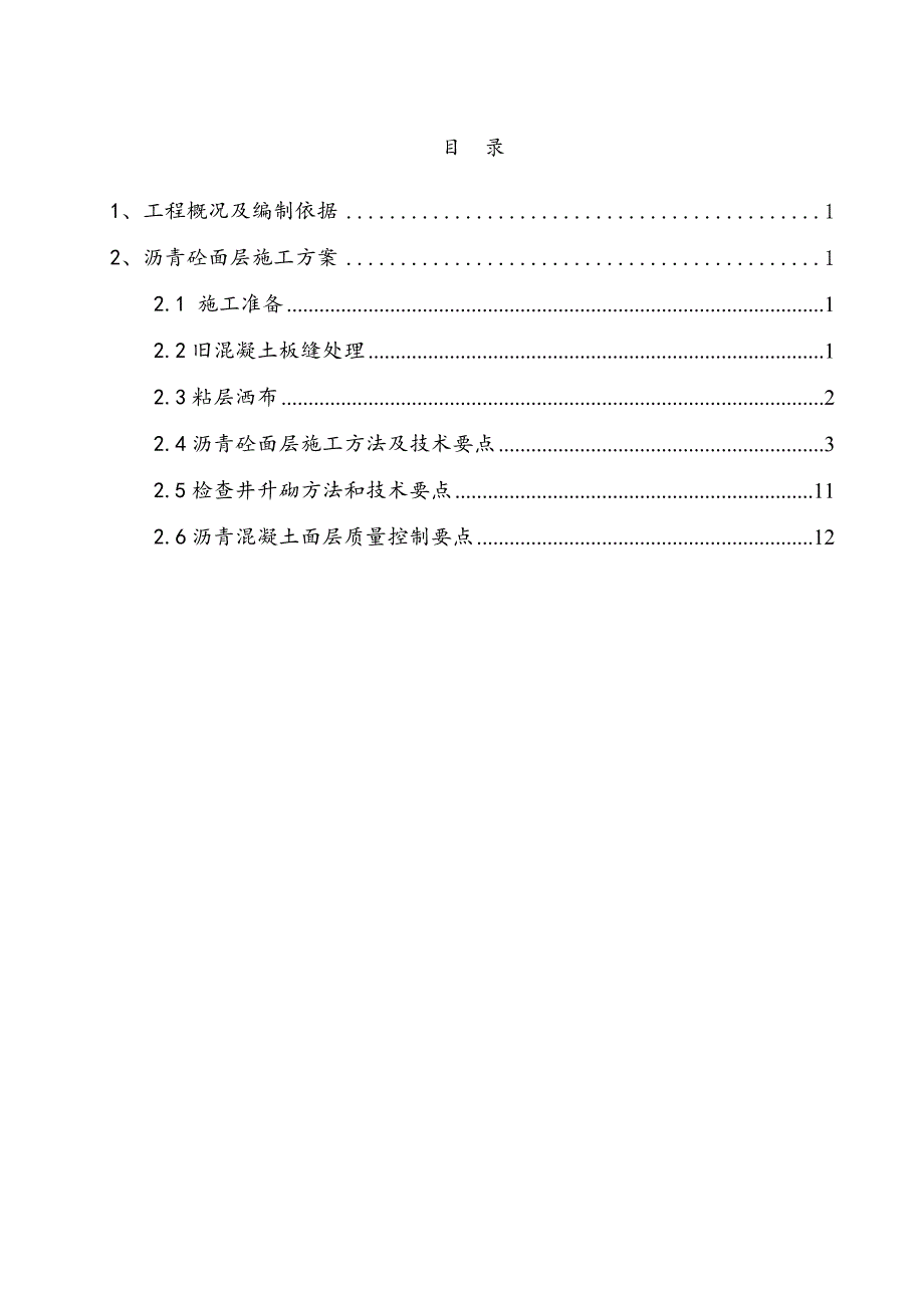 沥青砼面层改造工程专项施工方案.doc_第2页