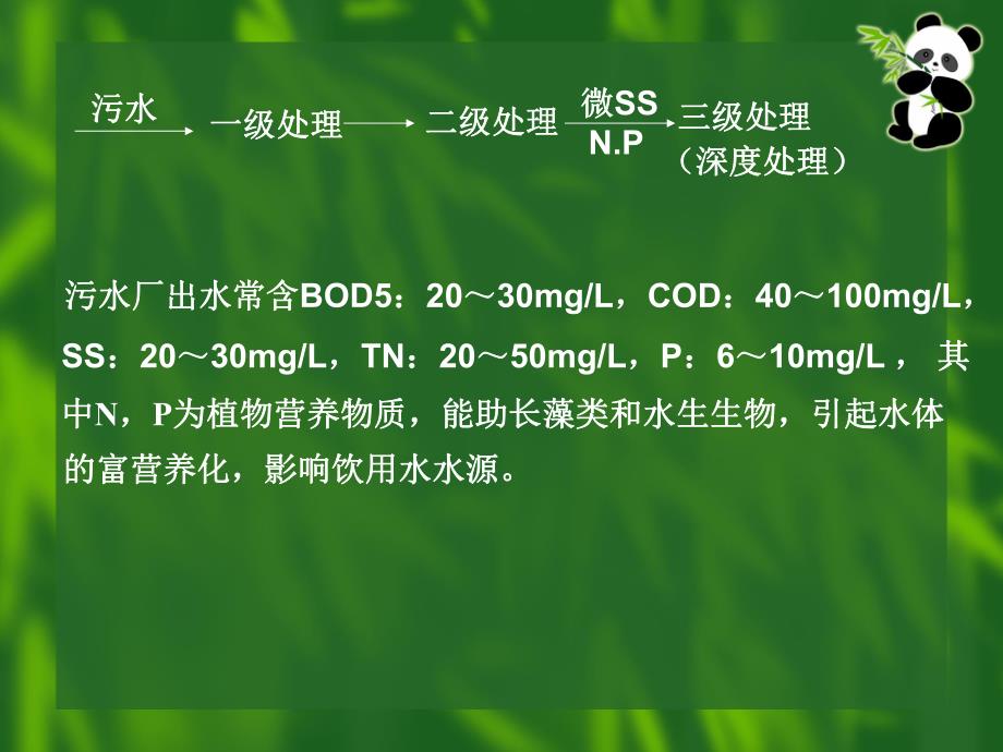 排水工程城市污水的深度处理教学PPT.ppt_第2页