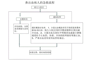 鼻出血病人的急救.ppt