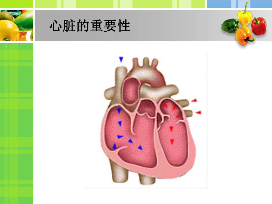 高血压防治及合理用药.ppt_第2页