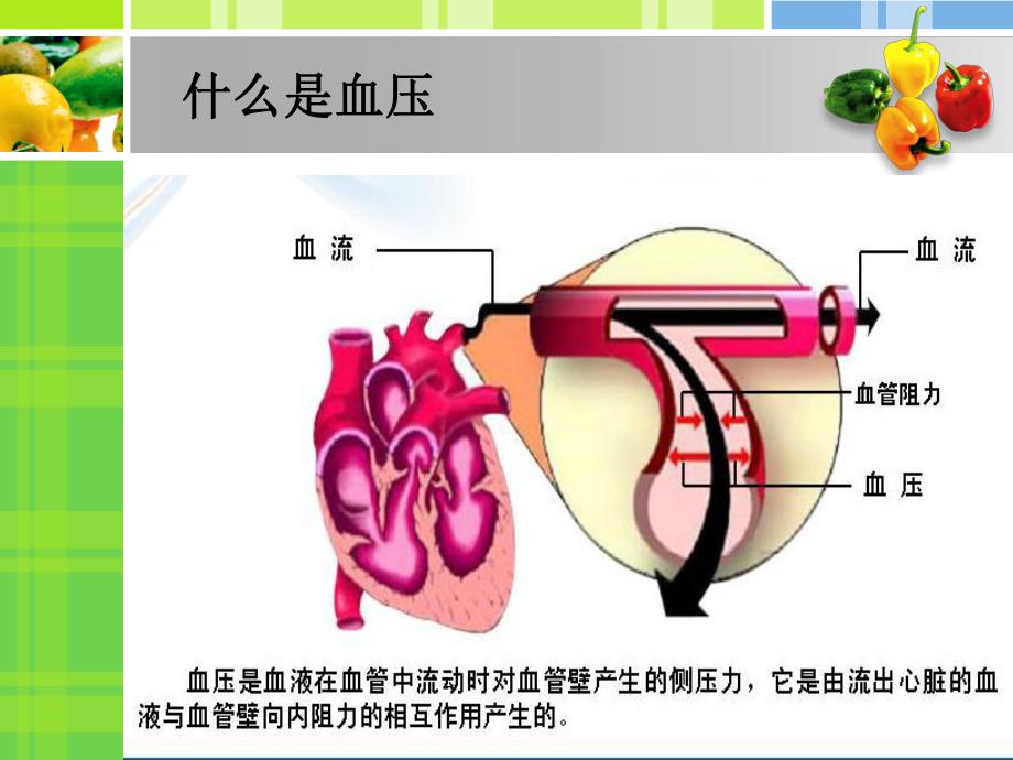 高血压防治及合理用药.ppt_第3页