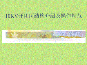 10KV开闭所结构及操作规范.ppt