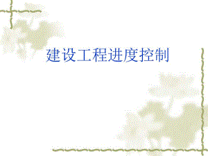 监理进度控制讲义.ppt