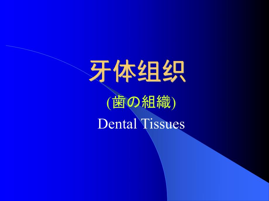 牙体组织.ppt_第1页