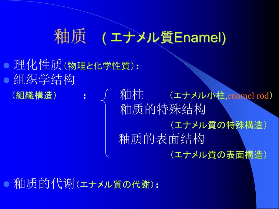 牙体组织.ppt_第3页