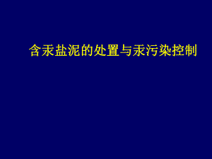 7含汞盐泥的处置与汞污染控制.ppt.ppt