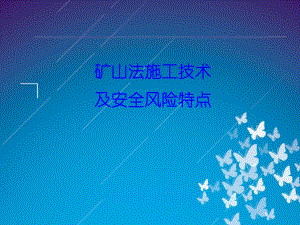 【轨道交通】矿山法施工技术及安全风险特点.ppt