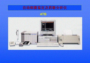 ATBATBExpert.ppt