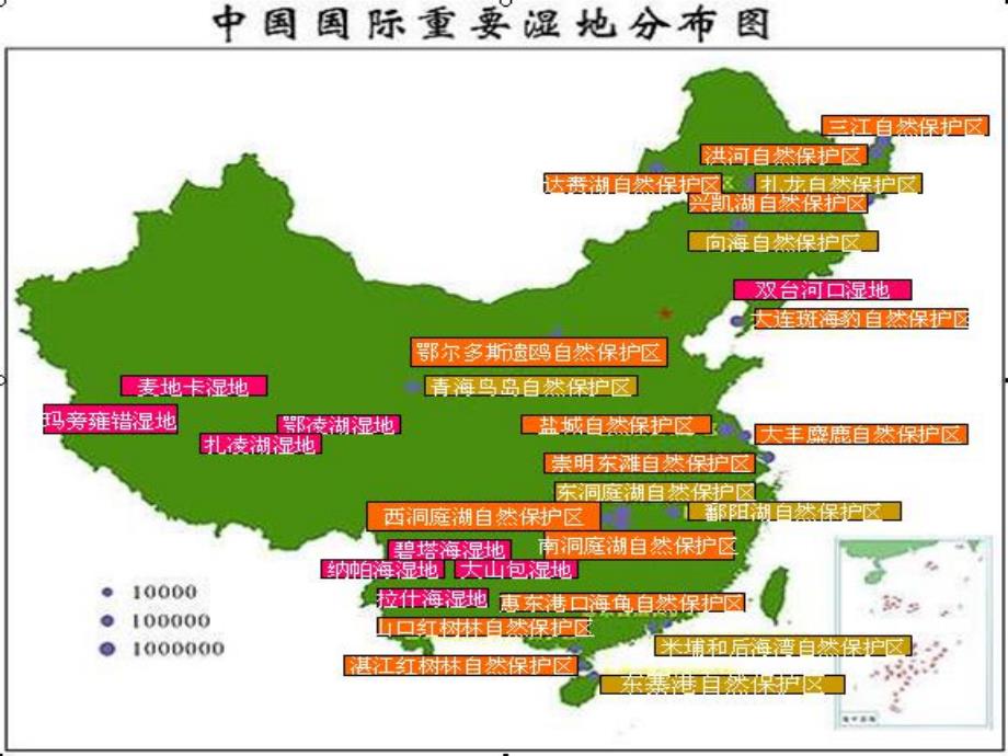 人工湿地设计PPT.ppt_第2页