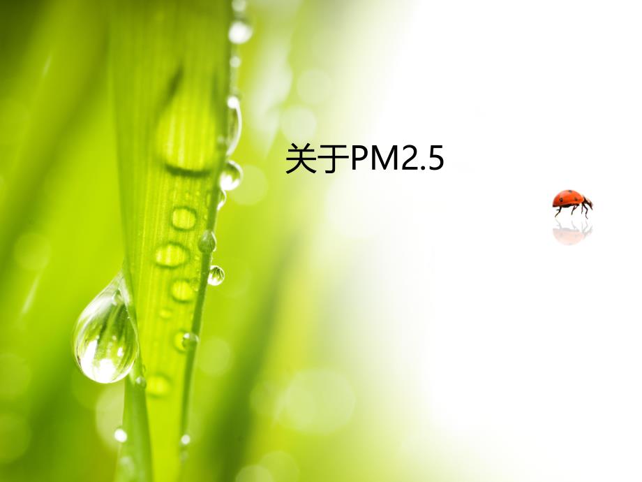 PM2.5专题PPT.ppt_第1页