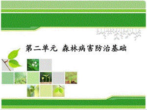 园林植物病虫害.ppt