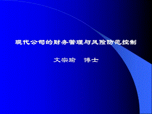 公司资源集中控制的组织架构与财务风险防范.ppt