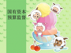 国有资本预算监督.ppt