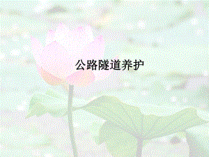 公路隧道养护PPT.ppt