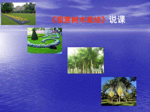 园林树木的土肥水管理.ppt