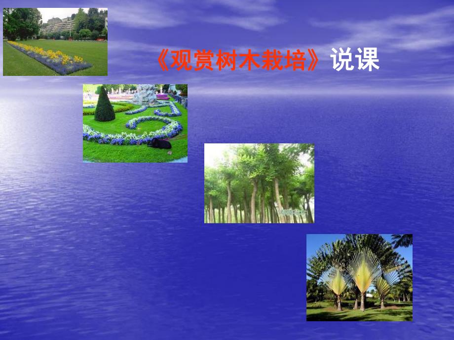 园林树木的土肥水管理.ppt_第1页