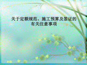 关于定额规范施工预算及签证的有关注意事项.ppt