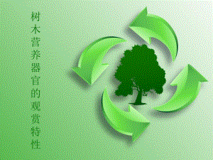 园林树木营养器官的观赏特性.ppt