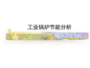 工业锅炉节能分析.ppt