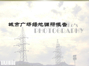 城市广场绿地调研报告.ppt