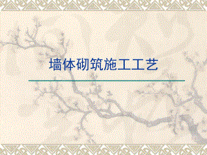 墙体砌筑施工工艺（PPT格式 附施工图).ppt