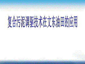 复合污泥调驱技术在文东油田的改进与应用稿111.ppt