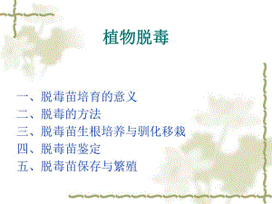 植物脱毒技术.ppt