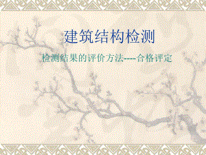 建筑结构检测.ppt