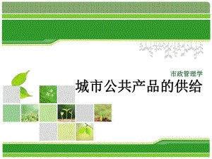市政管理学城市公共产品.ppt