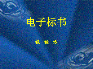 工程造价电子标书（投） .ppt
