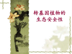 转基因植物的生态安全.ppt
