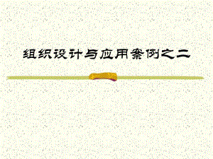 组织设计与应用案例之二.ppt