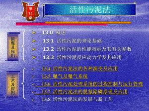 活性污泥法.ppt.ppt