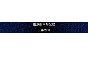 组织效率与发展工作规划091115.ppt