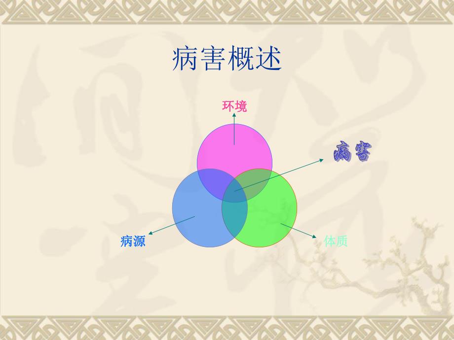 浅论虾病害控制.ppt_第2页