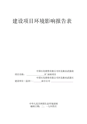 武强县迎宾加油站环评报告.docx