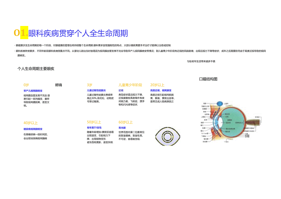 2024眼科诊疗行业简析报告.docx_第1页
