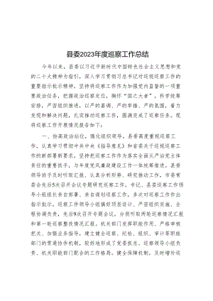 县委2023年度巡察工作总结&参加涉粮问题专项巡察心得体会.docx