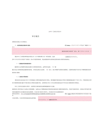 0-1标准无保留意见审计报告(单体).docx