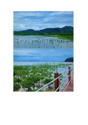 海陵岛旅游景点详细说明.docx