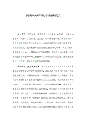 参加局机关青年研讨培训班感悟范文.docx